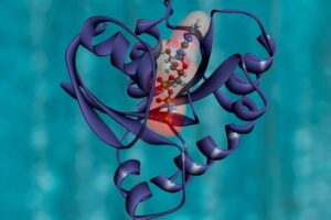 Santé du microbiote