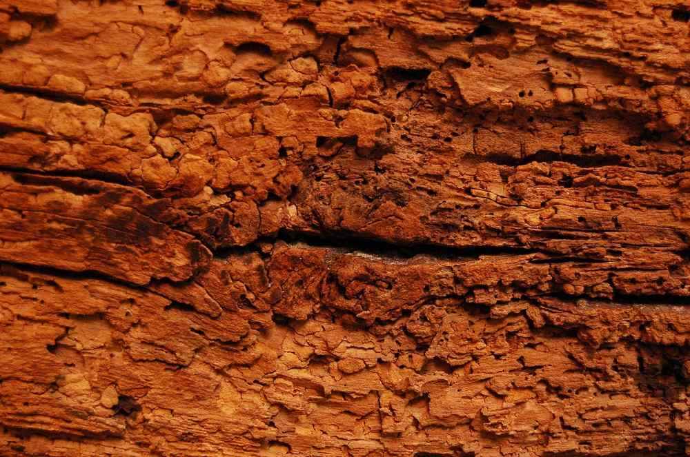 Détail de bois ancien fissuré et écaillé montrant la dégradation et l'usure du matériau Détail de bois ancien fissuré et écaillé montrant la dégradation et l'usure du matériau